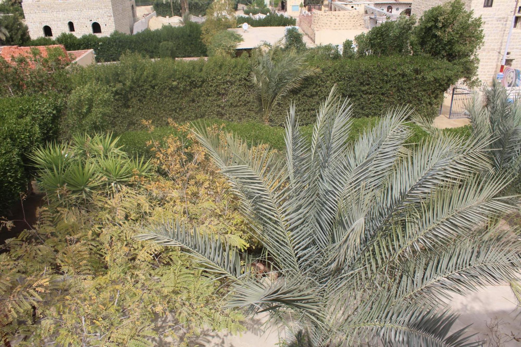 Tunis Village Chalet Al Fayyūm Kültér fotó